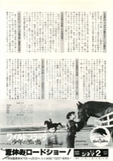 ワイルド・ブラック少年の黒い馬
