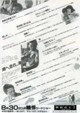 南へ走れ、海の道を！