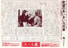 欲望のあいまいな対象