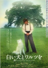 白い犬とワルツを