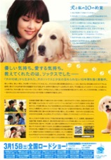 犬と私の10の約束