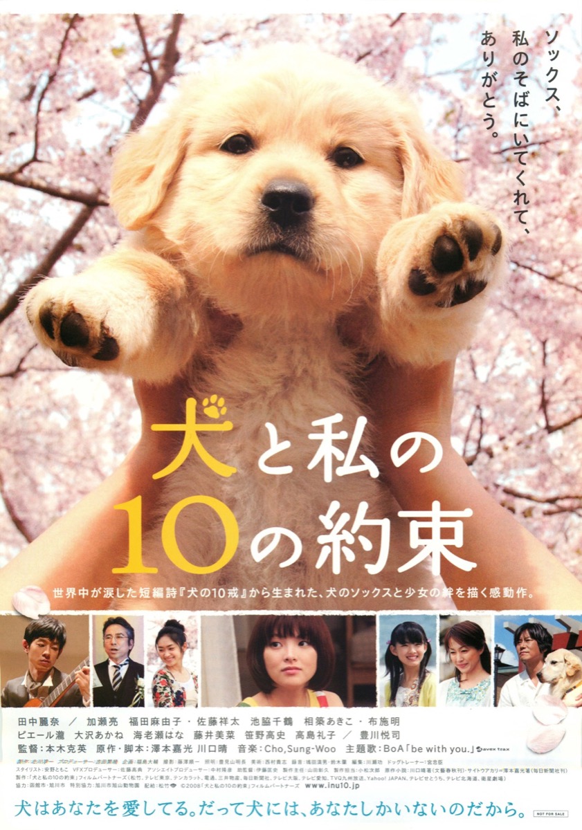 映画チラシサイト：犬と私の10の約束