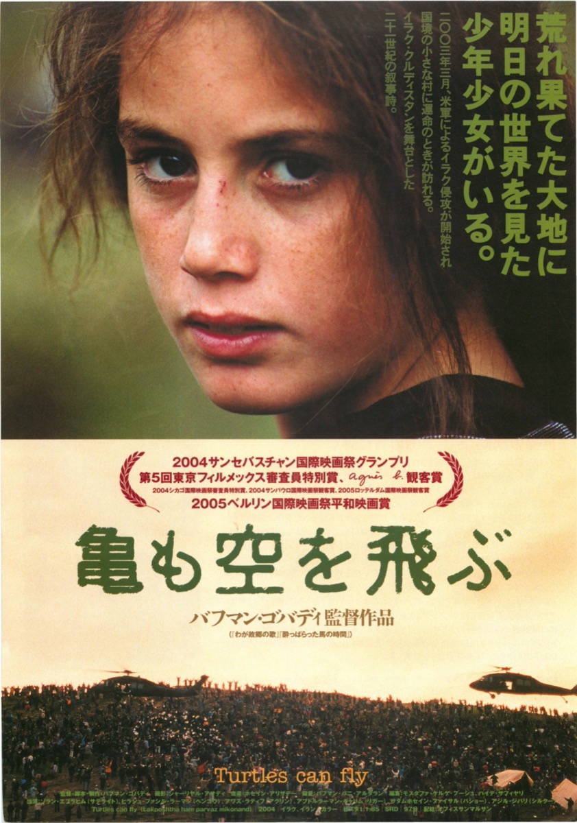 亀も空を飛ぶ