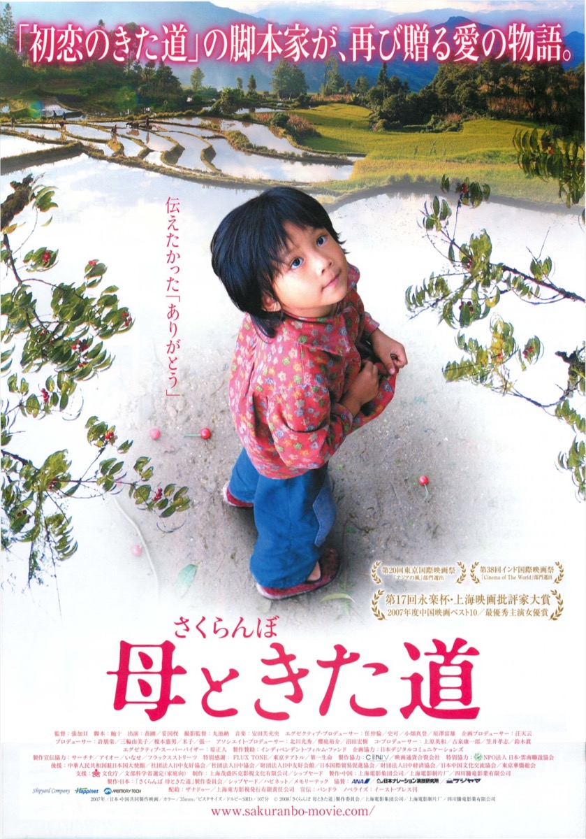 さくらんぼ　母ときた道