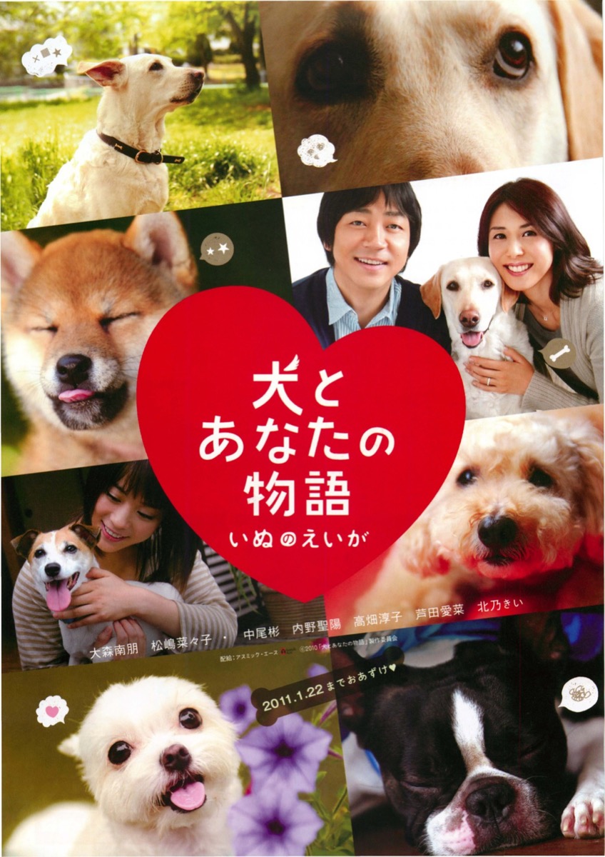 犬とあなたの物語 いぬのえいが