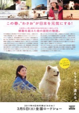 わさお