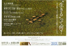 ライフ–いのちをつなぐ物語–