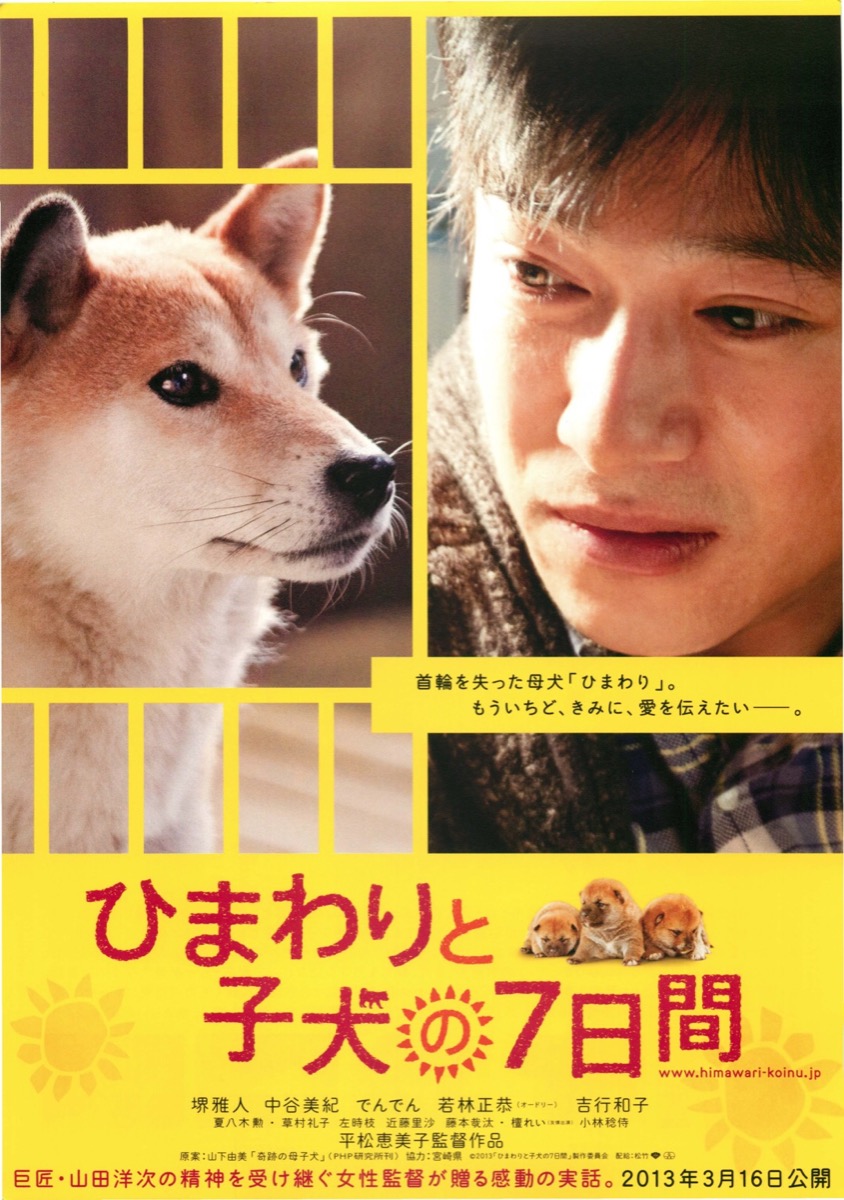 ひまわりと子犬の7日間