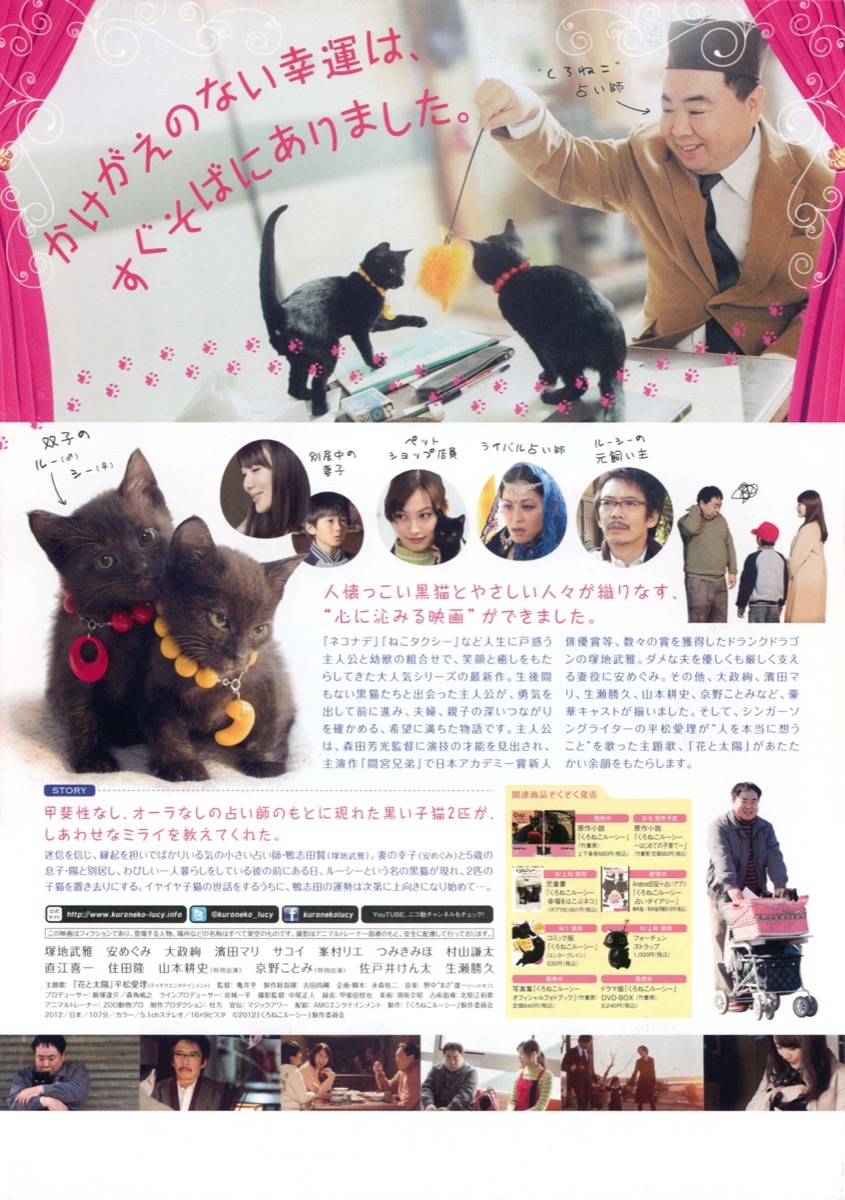 くろねこルーシー