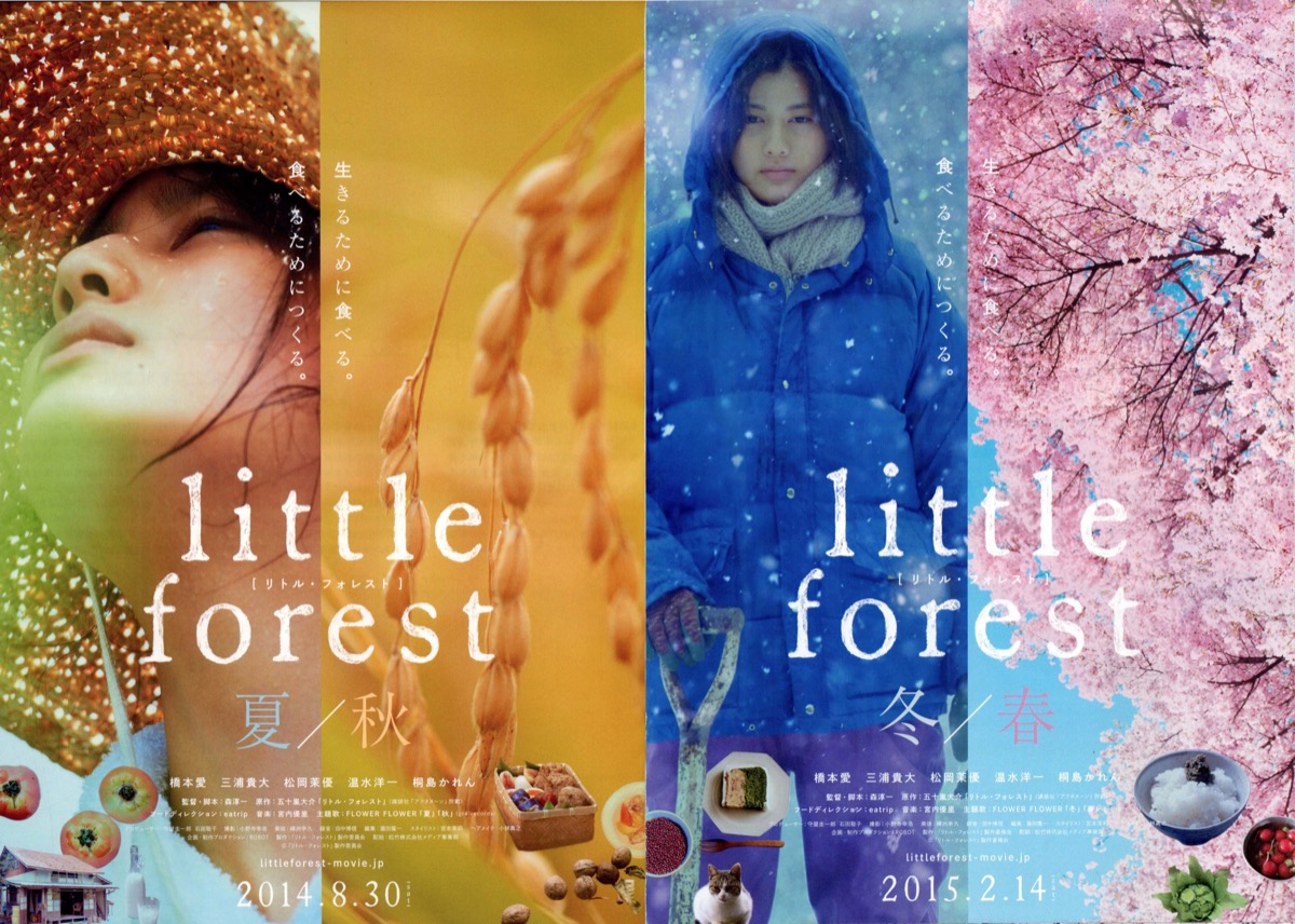 little forest 夏/秋,little forest 冬/春