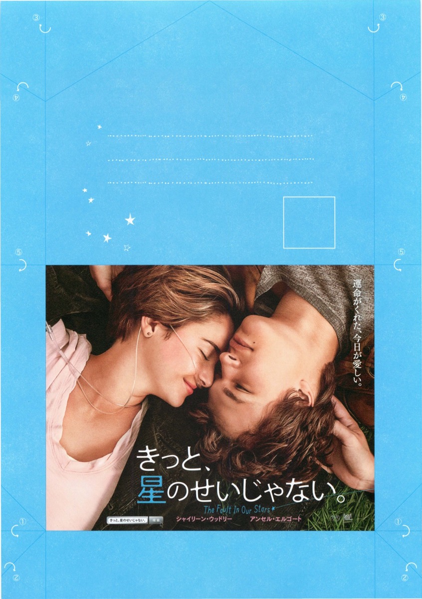 きっと、星のせいじゃない。