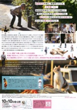 先生と迷い猫