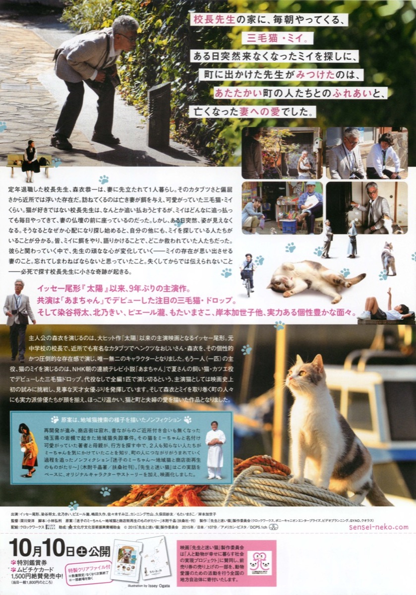 先生と迷い猫