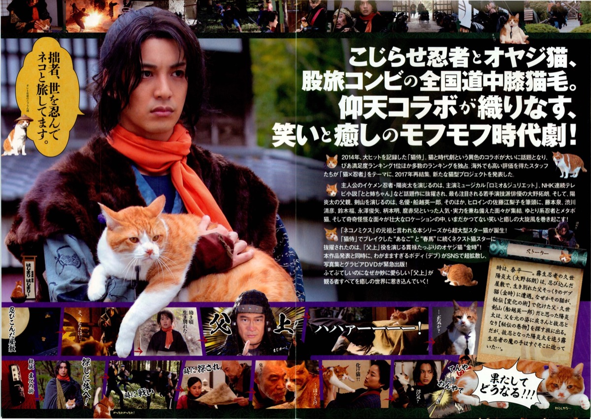 猫忍