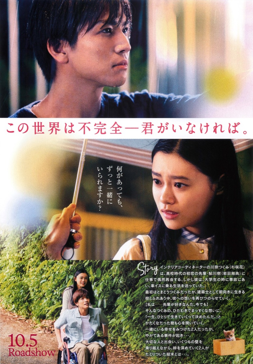 パーフェクトワールド 君といる奇跡