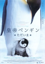 皇帝ペンギン ただいま