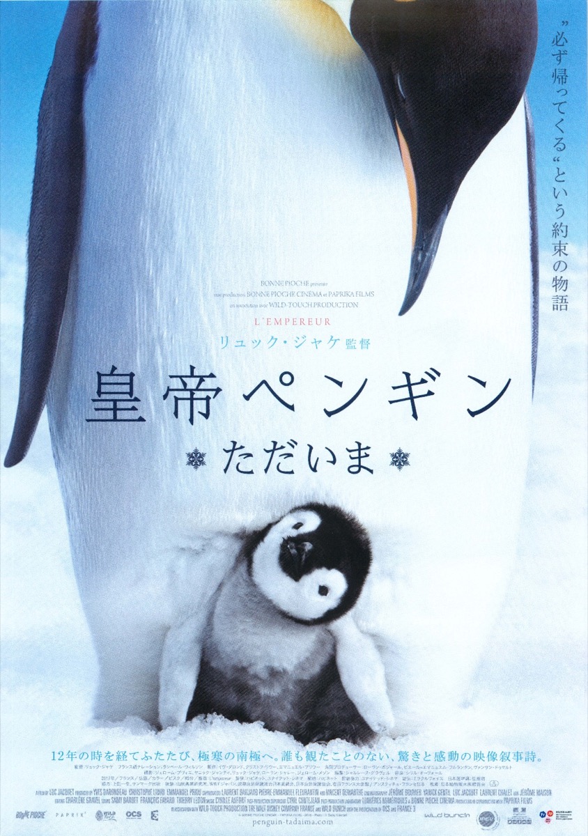皇帝ペンギン ただいま