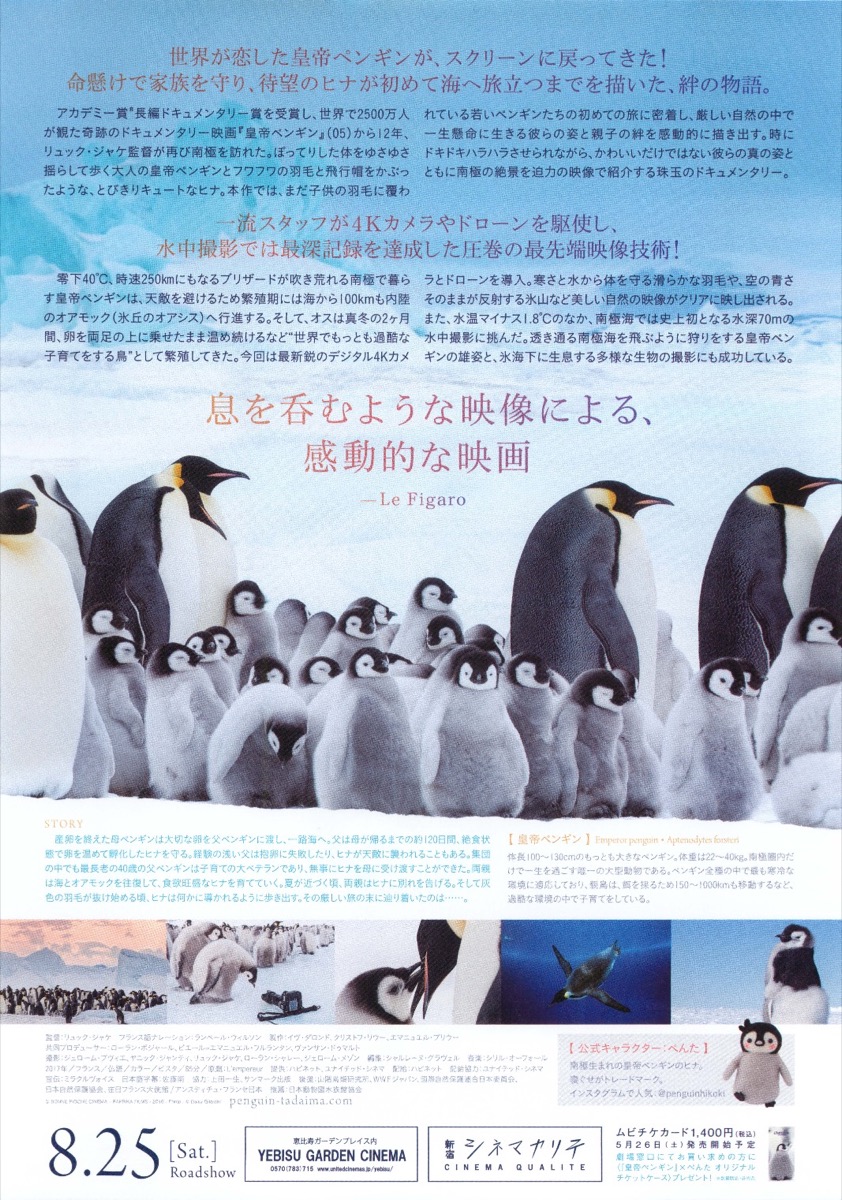 皇帝ペンギン ただいま