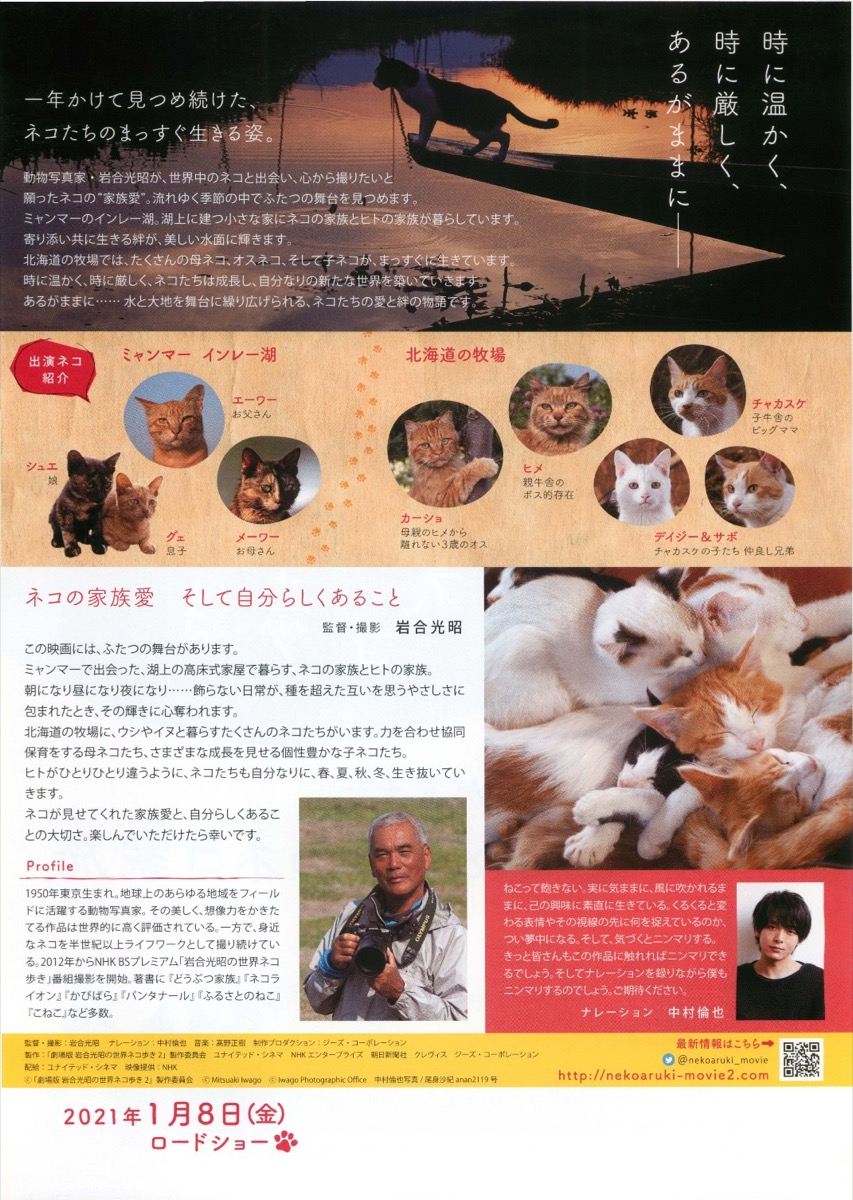 劇場版 岩合光昭の世界ネコ歩き あるがままに、水と大地のネコ家族