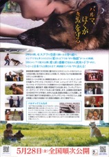 ハチとパルマの物語