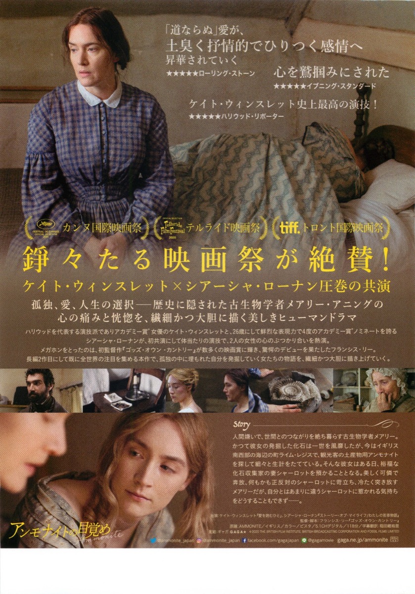 アンモナイトの目覚め