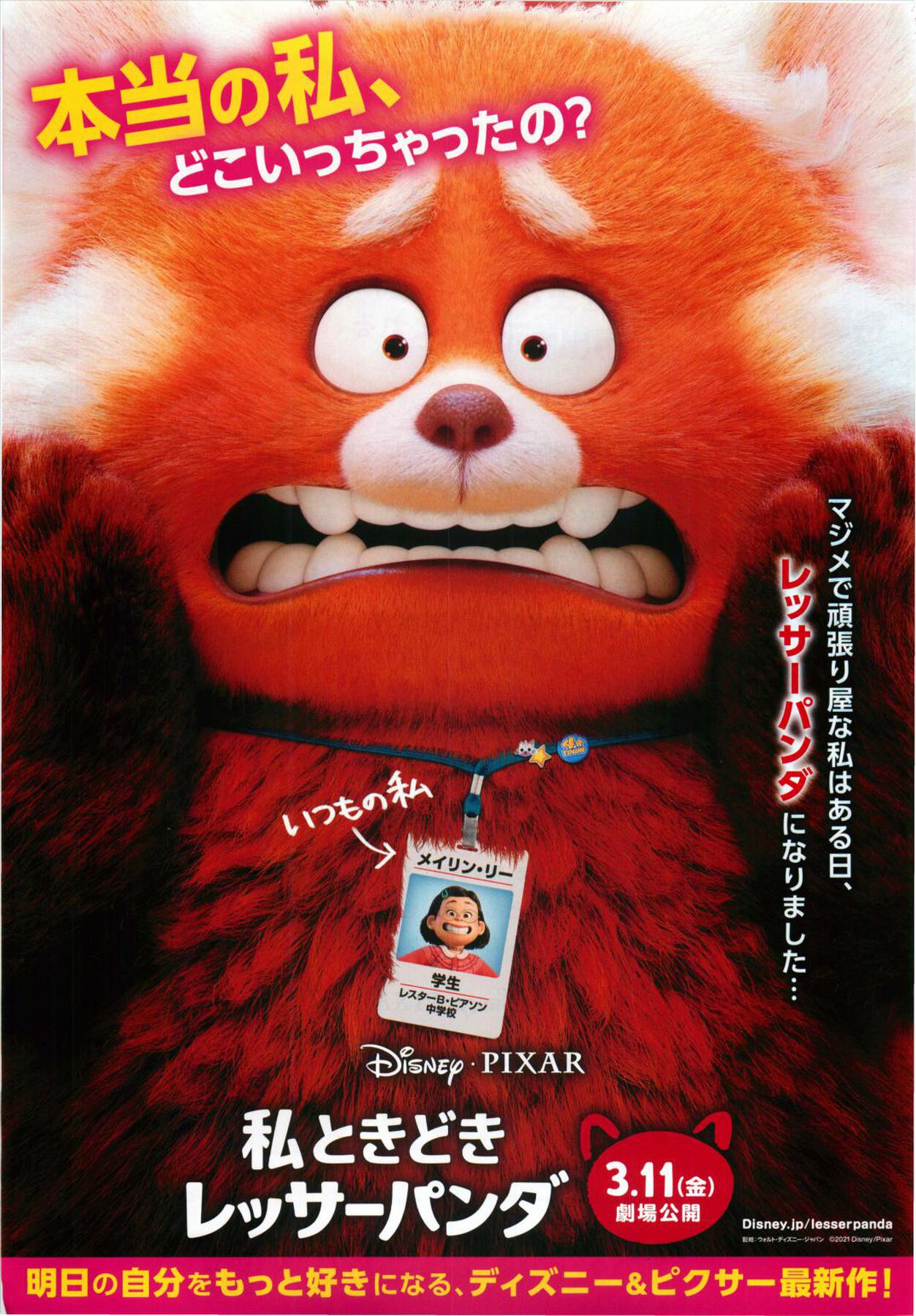 私ときどきレッサーパンダ