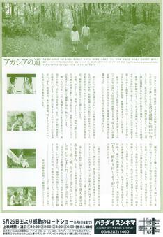 アカシアの道