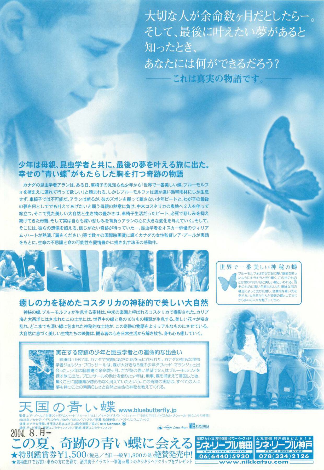 天国の青い蝶