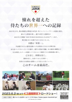 憧れを超えた侍たち　世界一への記録