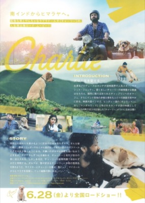 チャーリー
