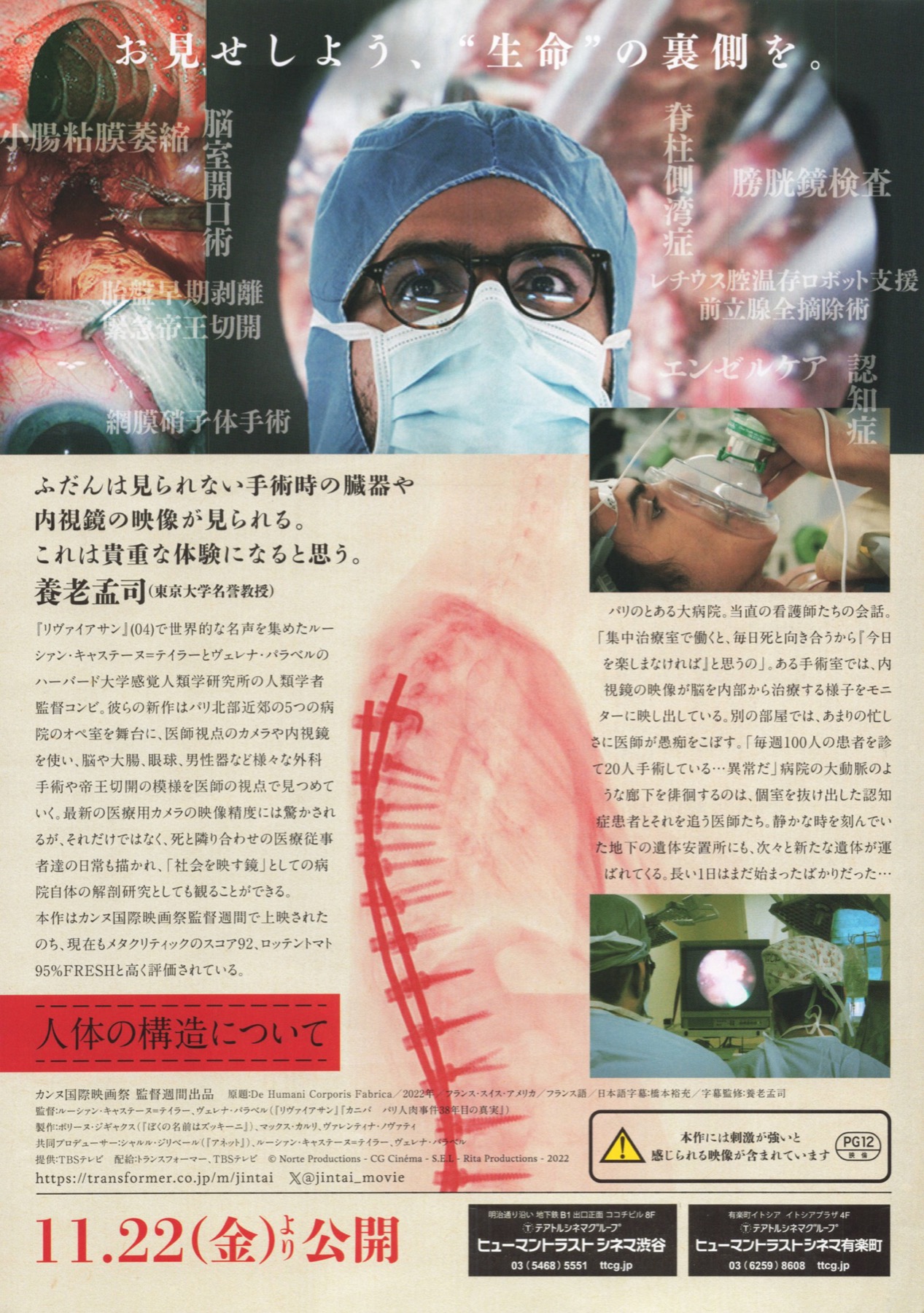 人体の構造について