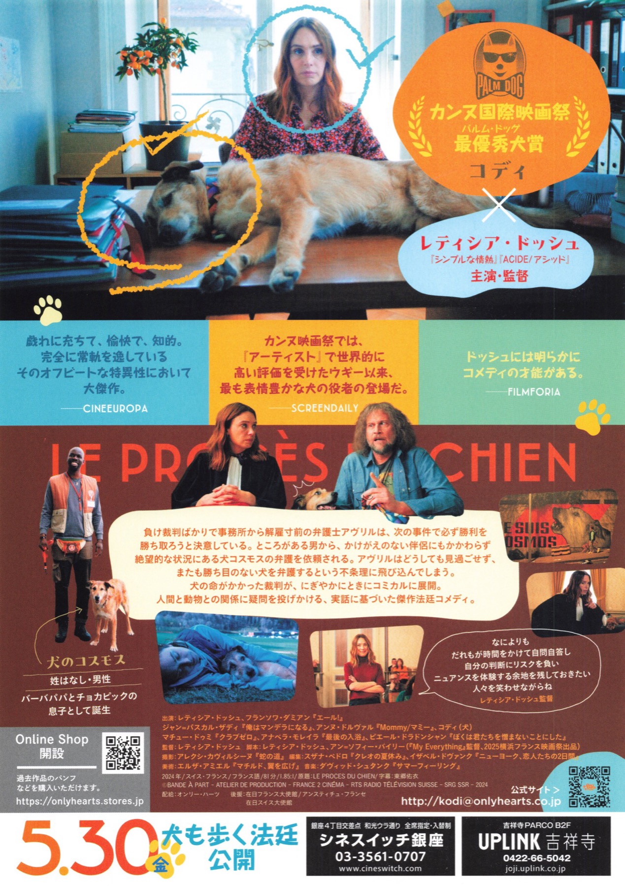 犬の裁判
