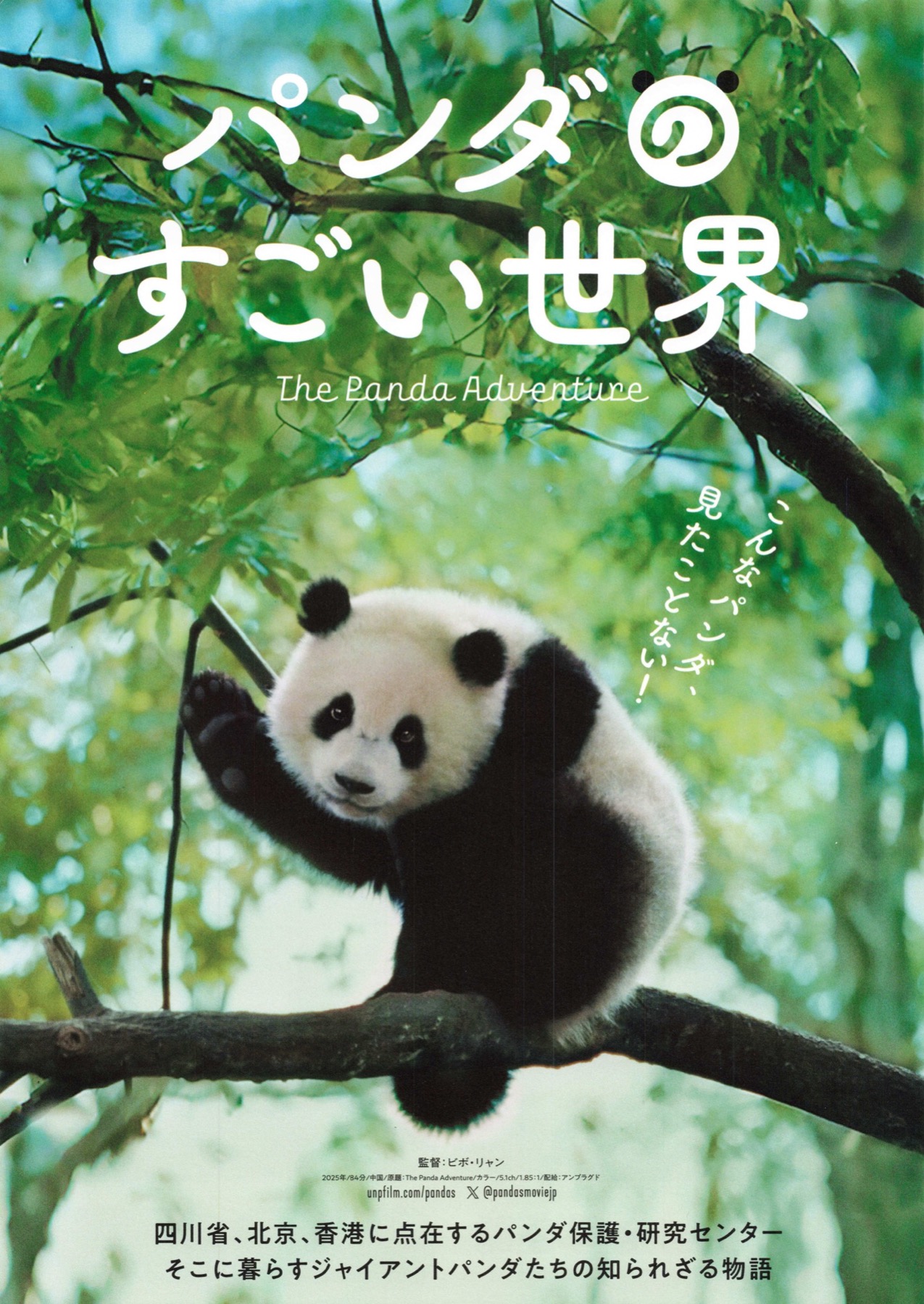 パンダのすごい世界