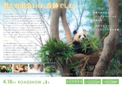 私の親愛なるフーバオ