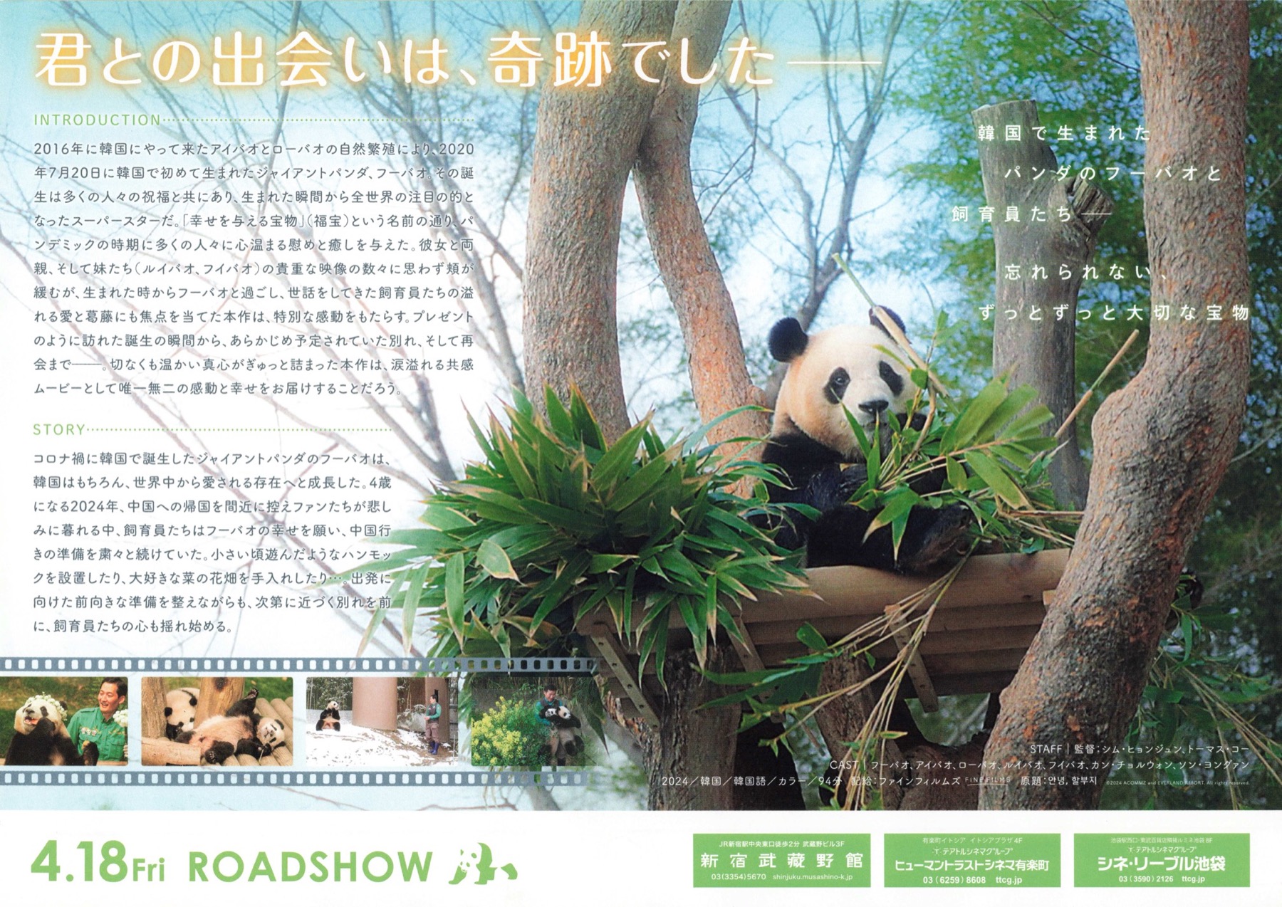 私の親愛なるフーバオ