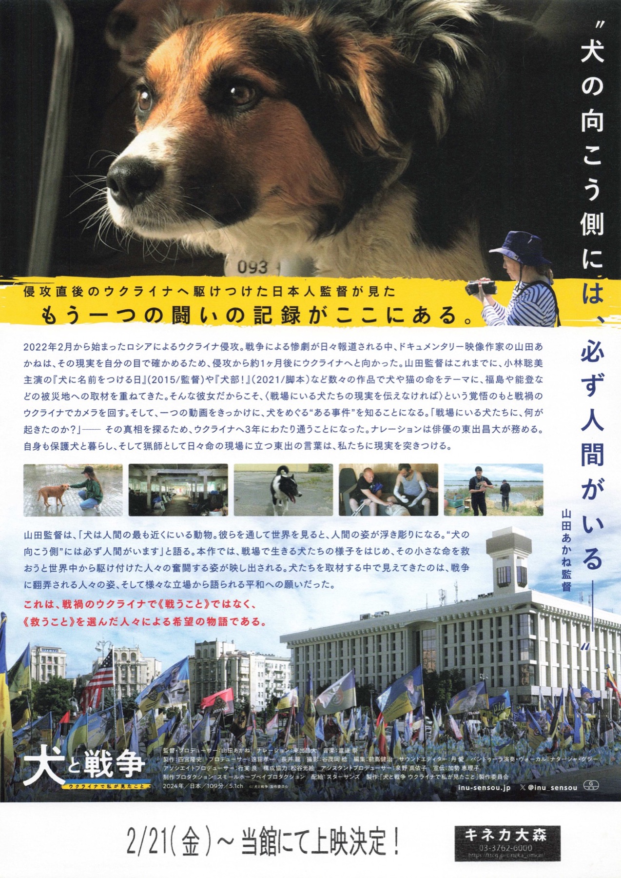 犬と戦争　ウクライナで私が見たこと